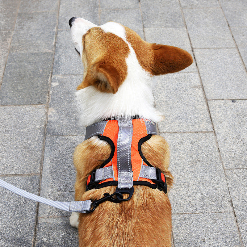 Dog Hand Holding Rope Vest Dog Chest Strap