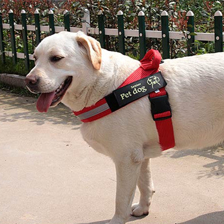 Medium And Large Dog Vest Type Chest Harness