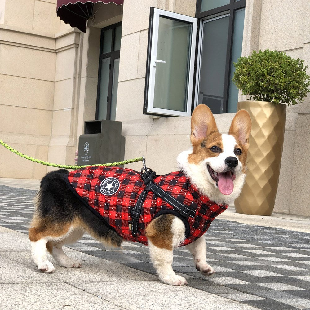 Autumn And Winter Clothing Warm Pet Clothing