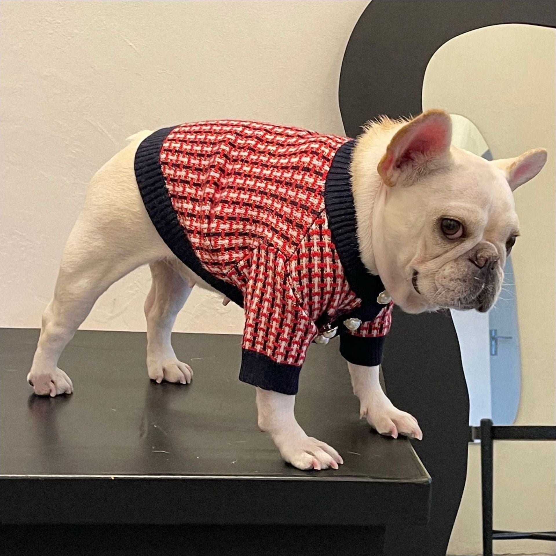 Fashion Cute Print Winter Sweater