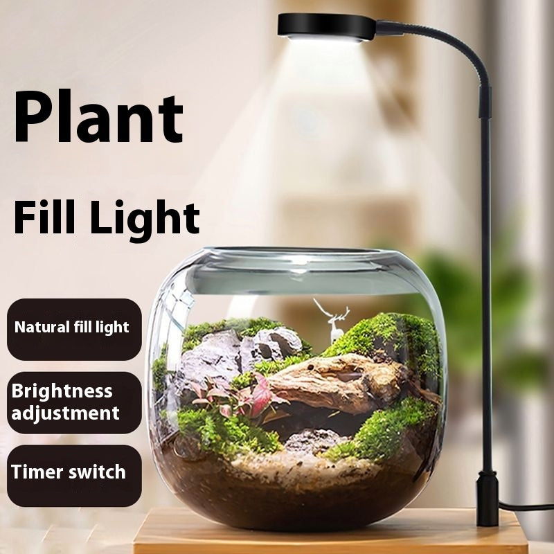 Fish Plant Desktop Water Plant Lamp