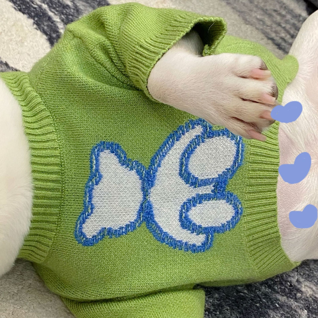 Pet Clothes Dog Cat Puppy Fall Winter Sweater