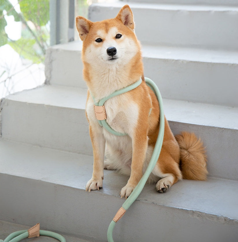 Pet Integrated Round Rope Dog Leash